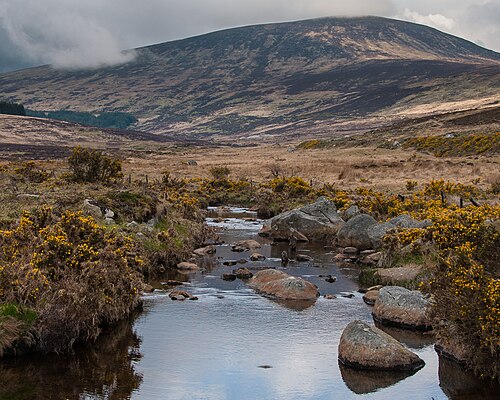 Dublin Mountains